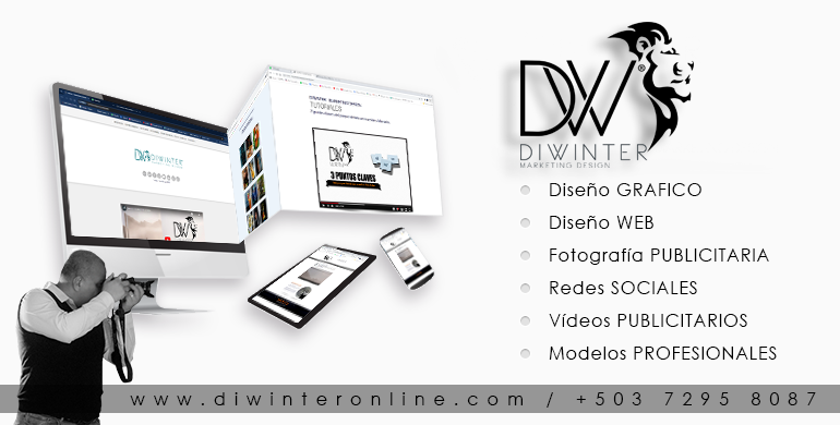 agencia de diseno grafico y web diwinter